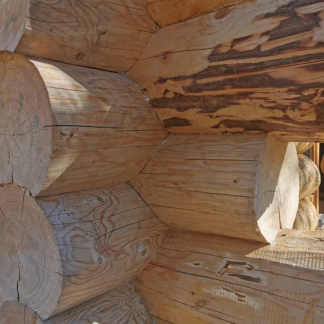 Ma Cabane en Rondin - Castellane