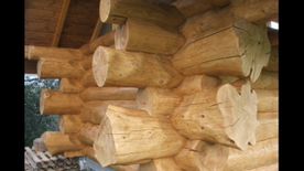 Ma Cabane en rondin - Castellane